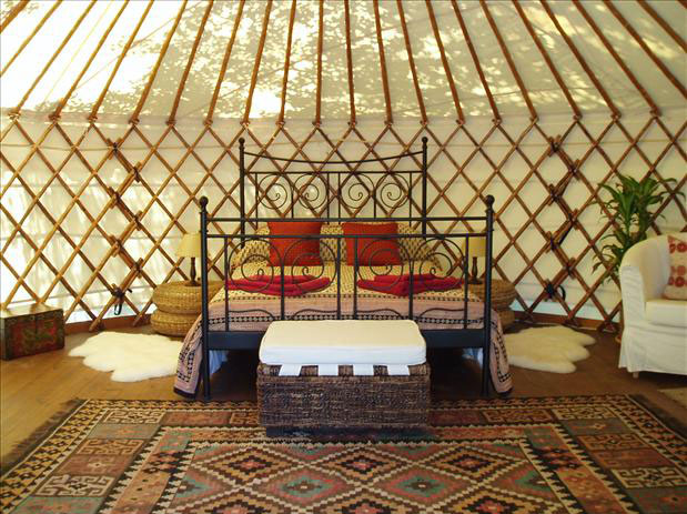 Inside view of Yurt set in UK forest