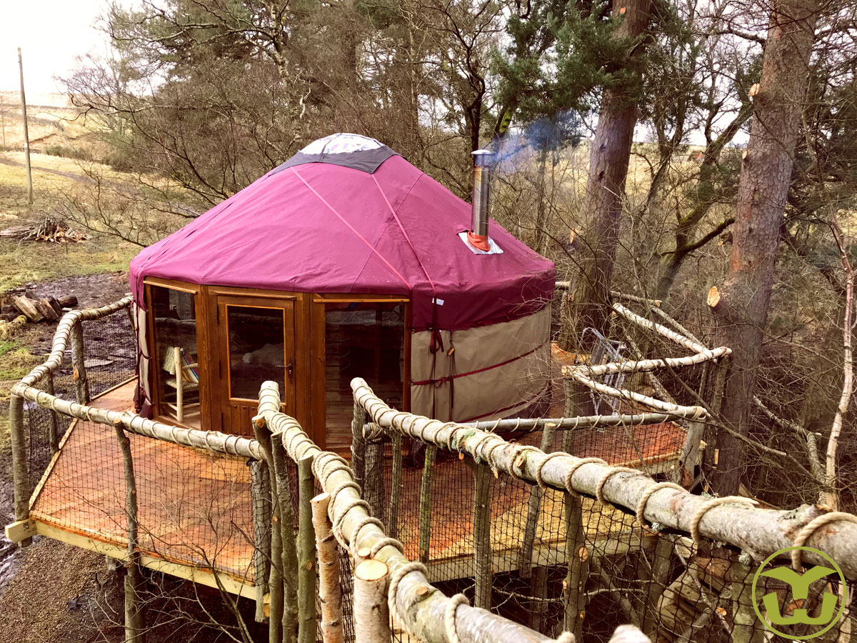 Yurt set in UK forest