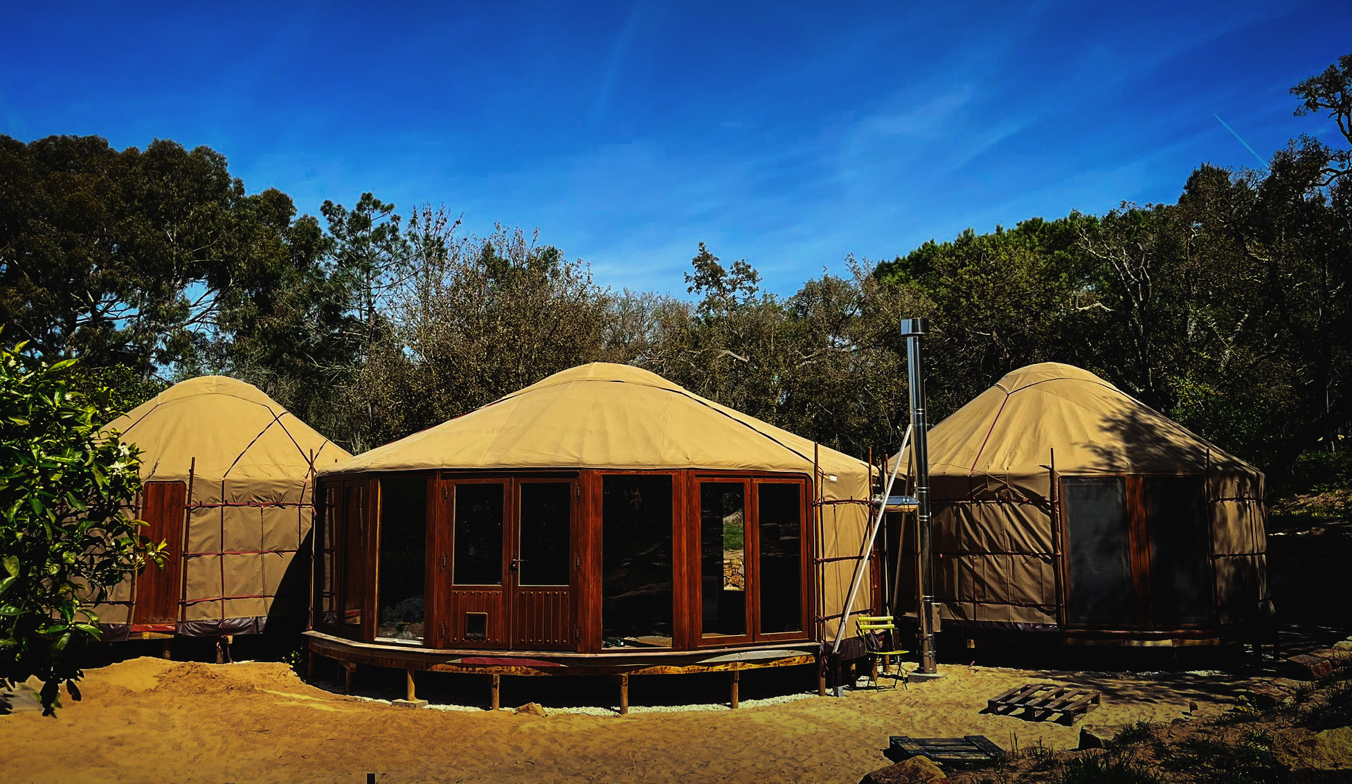 Inside view of Yurt set in UK forest